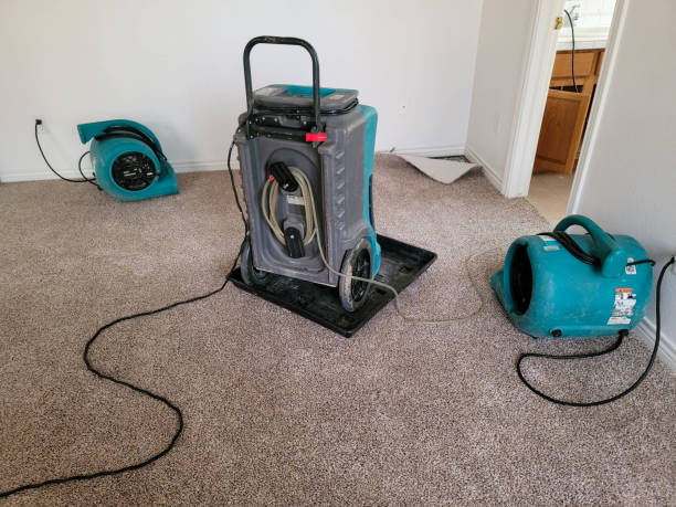 Best Mold removal after water damage  in Ocean Acres, NJ
